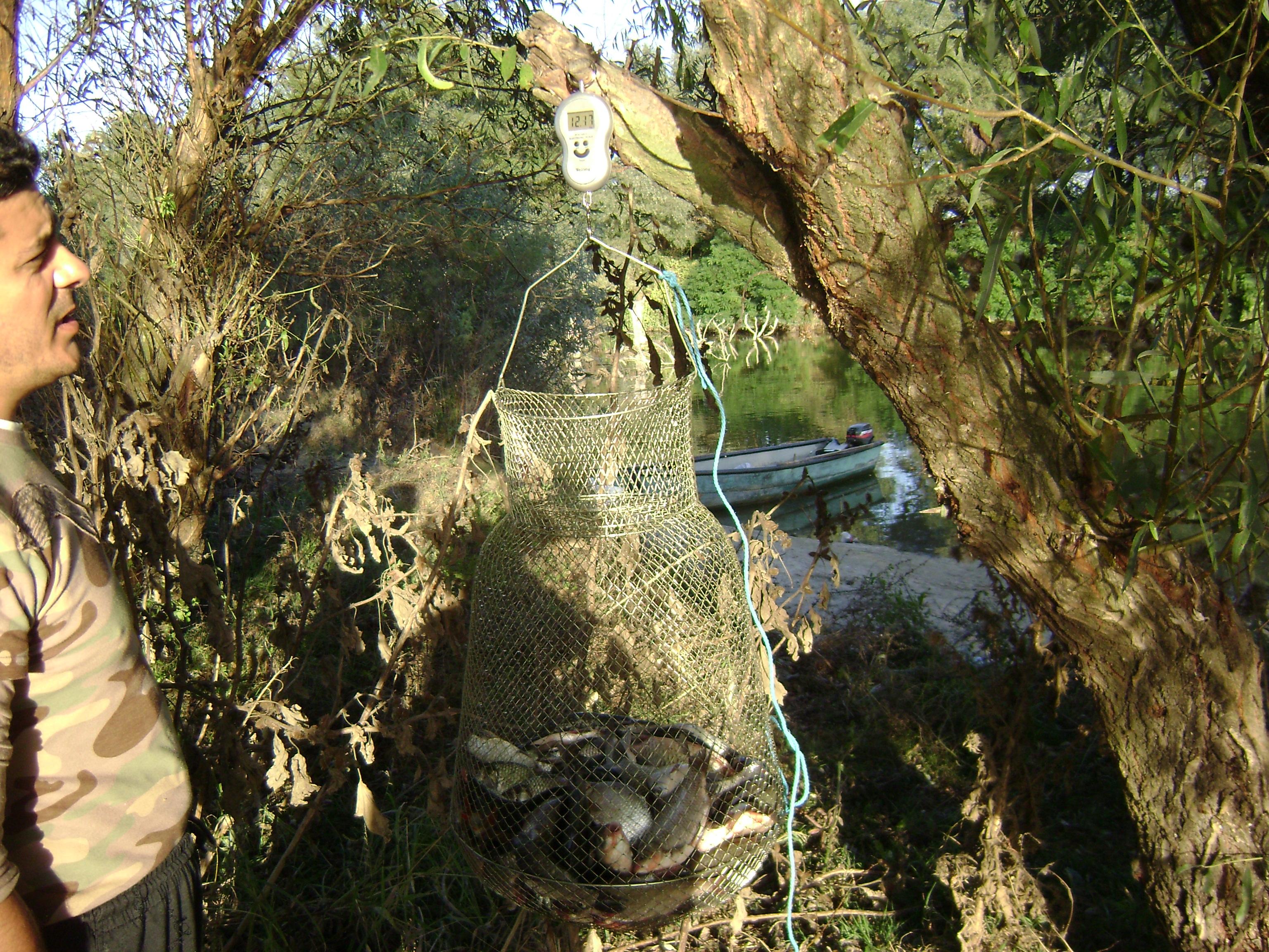 delta octombrie 2012 - delta octombrie 2012 033.JPG